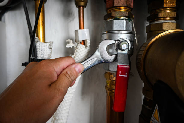 Best Plumbing Inspection Services  in Greenwood, SC
